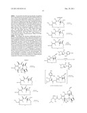 TAXANE ANALOGS FOR THE TREATMENT OF BRAIN CANCER diagram and image