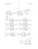 TAXANE ANALOGS FOR THE TREATMENT OF BRAIN CANCER diagram and image