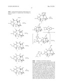 TAXANE ANALOGS FOR THE TREATMENT OF BRAIN CANCER diagram and image