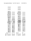 HUMANEERED ANTI-FACTOR B ANTIBODY diagram and image