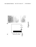 DEGLYCOSYLATED ANTIBODIES diagram and image