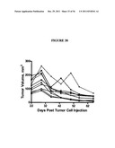 FRIZZLED-BINDING AGENTS AND USES THEREOF diagram and image