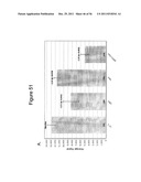 FRIZZLED-BINDING AGENTS AND USES THEREOF diagram and image