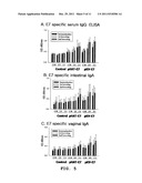 VECTOR FOR TREATMENT VACCINE FOR STABLE AND CONSTITUTIVE HIGH-EXPRESSION     CERVICAL CANCER AND RECOMBINANT LACTOBACILLUS TRANSFORMED BY THE SAME diagram and image