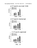 VECTOR FOR TREATMENT VACCINE FOR STABLE AND CONSTITUTIVE HIGH-EXPRESSION     CERVICAL CANCER AND RECOMBINANT LACTOBACILLUS TRANSFORMED BY THE SAME diagram and image