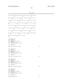 VECTOR FOR TREATMENT VACCINE FOR STABLE AND CONSTITUTIVE HIGH-EXPRESSION     CERVICAL CANCER AND RECOMBINANT LACTOBACILLUS TRANSFORMED BY THE SAME diagram and image