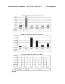 HUMAN PANCREATIC BETA CELL LINES FOR DIAGNOSTIC OF DIABETES diagram and image