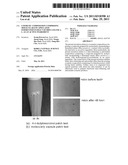 COSMETIC COMPOSITION COMPRISING MOLECULAR ENCAPSULATED FERMENTED EXTRACT     OF RHUS JAVANICA L. AS AN ACTIVE INGREDIENT diagram and image