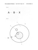 SURFACE FUNCTIONALIZED CERAMIC NANOPARTICLES diagram and image