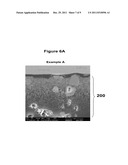 HIGH PEEL STRENGTH ARTICLE COMPRISING A THERMOPLASTIC-METAL     INTERPENETRATED VOLUME diagram and image