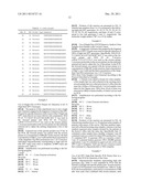 GENETIC MARKER FOR DETECTION OF HUMAN PAPILLOMAVIRUS diagram and image