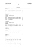 GENETIC MARKER FOR DETECTION OF HUMAN PAPILLOMAVIRUS diagram and image