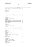 GENETIC MARKER FOR DETECTION OF HUMAN PAPILLOMAVIRUS diagram and image