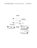 QUANTITATIVE HELICASE ASSAY diagram and image