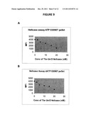 QUANTITATIVE HELICASE ASSAY diagram and image