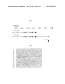 REGULATION OF THE SEROTONIN REUPTAKE TRANSPORTER AND DISEASE diagram and image