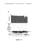 IDENTIFICATION AND REGULATION OF A NOVEL DNA DEMETHYLASE SYSTEM diagram and image