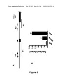 IDENTIFICATION AND REGULATION OF A NOVEL DNA DEMETHYLASE SYSTEM diagram and image