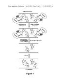 IDENTIFICATION AND REGULATION OF A NOVEL DNA DEMETHYLASE SYSTEM diagram and image