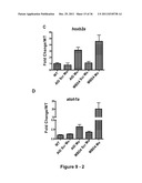 IDENTIFICATION AND REGULATION OF A NOVEL DNA DEMETHYLASE SYSTEM diagram and image