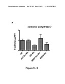 IDENTIFICATION AND REGULATION OF A NOVEL DNA DEMETHYLASE SYSTEM diagram and image