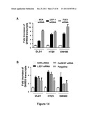 IDENTIFICATION AND REGULATION OF A NOVEL DNA DEMETHYLASE SYSTEM diagram and image