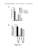 IDENTIFICATION AND REGULATION OF A NOVEL DNA DEMETHYLASE SYSTEM diagram and image