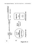 IDENTIFICATION AND REGULATION OF A NOVEL DNA DEMETHYLASE SYSTEM diagram and image