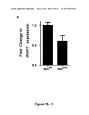 IDENTIFICATION AND REGULATION OF A NOVEL DNA DEMETHYLASE SYSTEM diagram and image