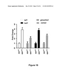 IDENTIFICATION AND REGULATION OF A NOVEL DNA DEMETHYLASE SYSTEM diagram and image