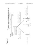 Reduced Interference from Single Strand Binding Proteins diagram and image