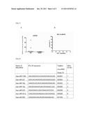 MICRO RNA MARKERS FOR COLORECTAL CANCER diagram and image