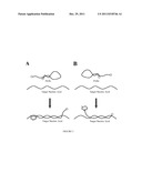 RAPID OLIGO PROBES diagram and image