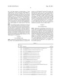 RAPID OLIGO PROBES diagram and image