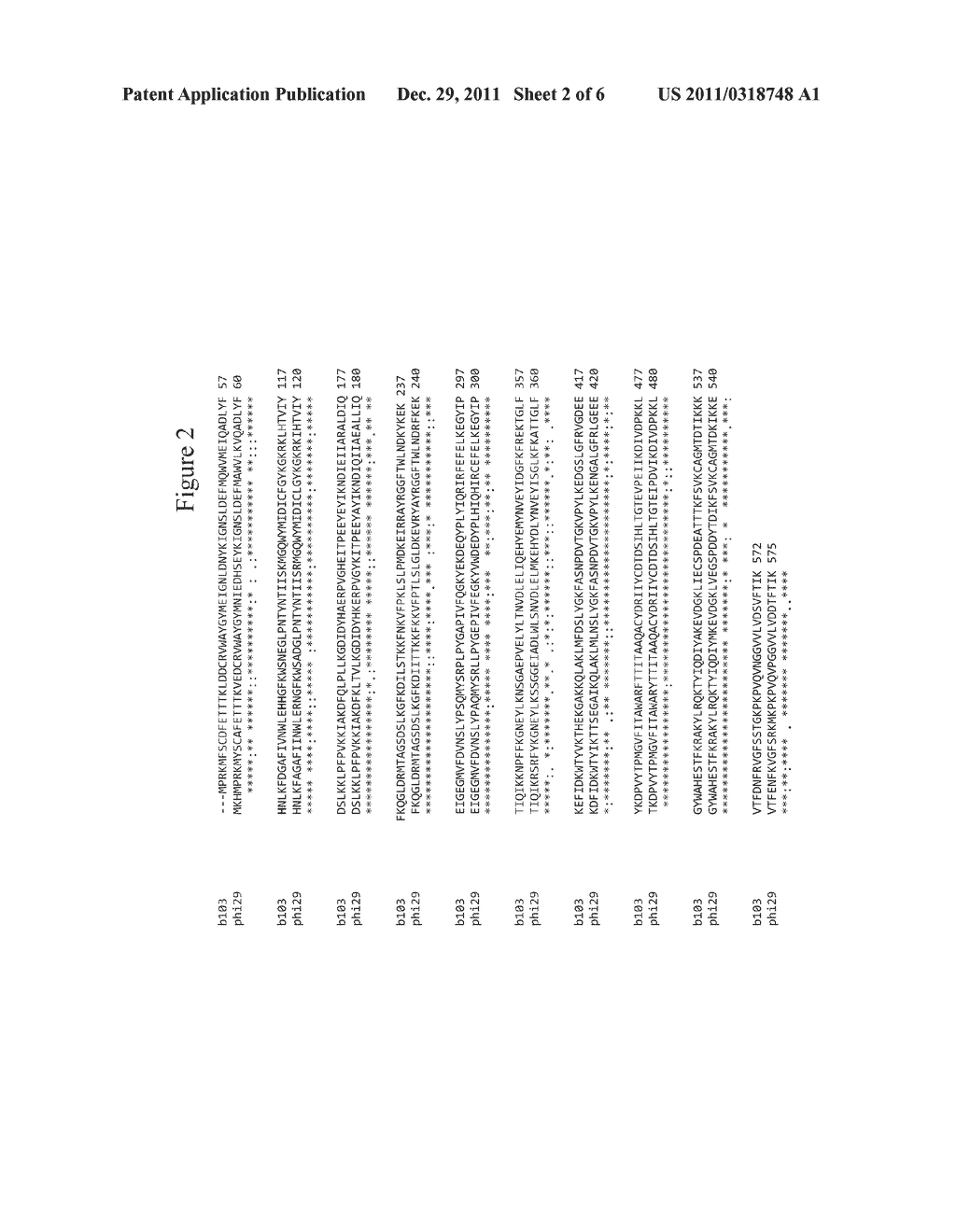 Modified Proteins and Methods of Making and Using Same - diagram, schematic, and image 03