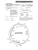 METHOD FOR IMPROVING THE YEILD OF A POLYPEPTIDE diagram and image