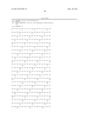 DNA POLYMERASES WITH INCREASED  3 -MISMATCH DISCRIMINATION diagram and image