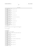 DNA POLYMERASES WITH INCREASED  3 -MISMATCH DISCRIMINATION diagram and image