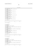 DNA POLYMERASES WITH INCREASED  3 -MISMATCH DISCRIMINATION diagram and image