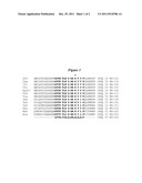 DNA POLYMERASES WITH INCREASED  3 -MISMATCH DISCRIMINATION diagram and image