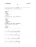 DNA POLYMERASES WITH INCREASED  3 -MISMATCH DISCRIMINATION diagram and image