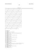 DNA POLYMERASES WITH INCREASED  3 -MISMATCH DISCRIMINATION diagram and image