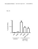 PROKARYOTIC DNA REPAIR LIGASES diagram and image