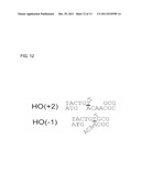 PROKARYOTIC DNA REPAIR LIGASES diagram and image