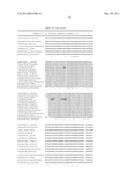 XYLOSE ISOMERASE GENES AND THEIR USE IN FERMENTATION OF PENTOSE SUGARS diagram and image