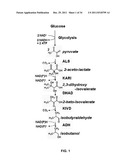 YEAST ORGANISM PRODUCING ISOBUTANOL AT A HIGH YIELD diagram and image