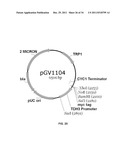 YEAST ORGANISM PRODUCING ISOBUTANOL AT A HIGH YIELD diagram and image