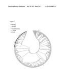 XYLOSE UTILIZATION IN RECOMBINANT ZYMOMONAS diagram and image