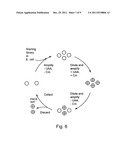 SITE SPECIFIC INCORPORATION OF KETO AMINO ACIDS INTO PROTEINS diagram and image