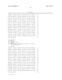 SITE SPECIFIC INCORPORATION OF KETO AMINO ACIDS INTO PROTEINS diagram and image